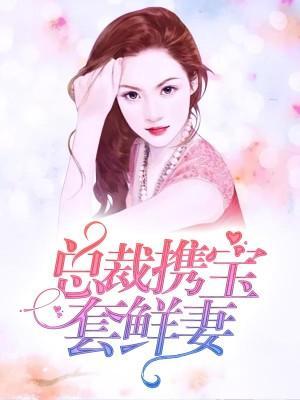 总裁携宝套鲜妻封面