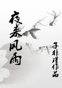 夜来风雨封面