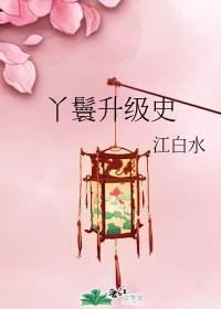 丫鬟升级史封面