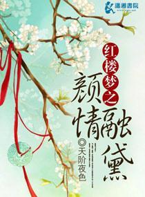 红楼梦之颜情融黛封面