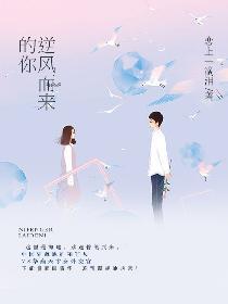 逆风而来的你封面