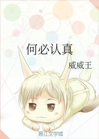 何必认真封面
