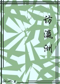 访瀛洲封面