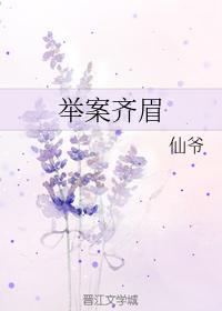 举案齐眉封面