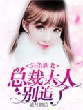 头条新妻：总裁大人别追了封面