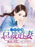 总裁追妻三十六计封面