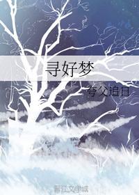 寻好梦封面