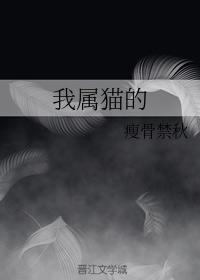 我属猫的封面
