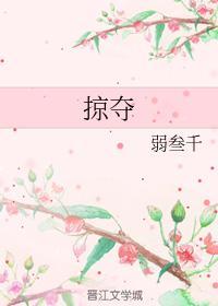 掠夺封面