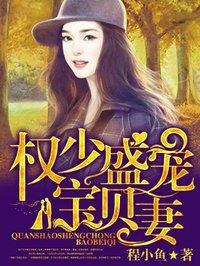 权少盛宠宝贝妻封面