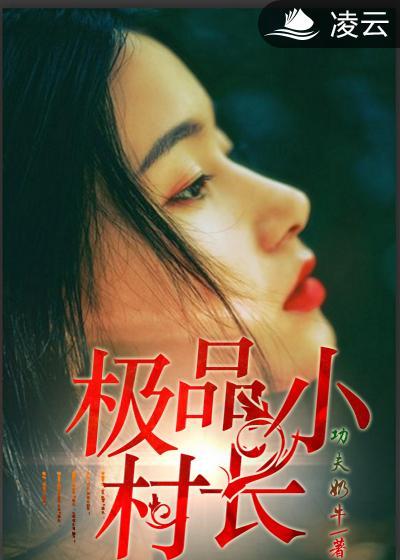 极品小村长封面
