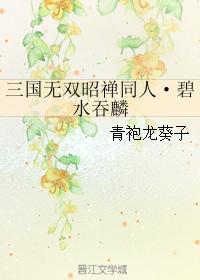 三国无双昭禅同人·碧水吞封面