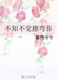 不知不觉撩弯你GL封面