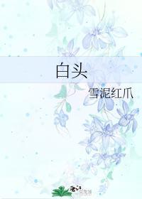 白头封面