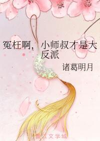 冤枉啊，小师叔才是大反派封面