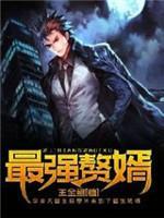最强赘婿封面