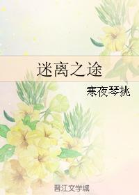 迷离之途封面