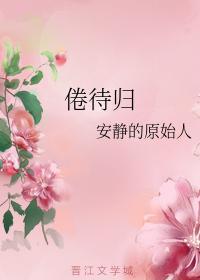 倦待归封面