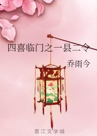 四喜临门之一县二令封面