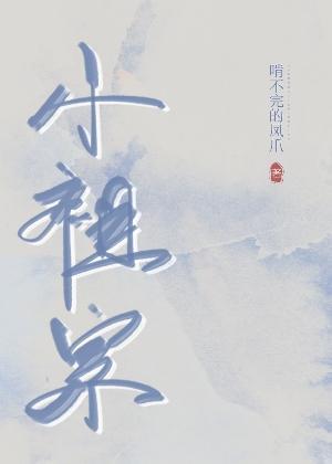 小祖宗封面