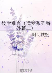 彼岸难言封面