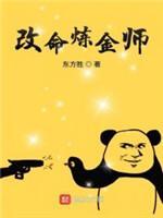 改命炼金师封面