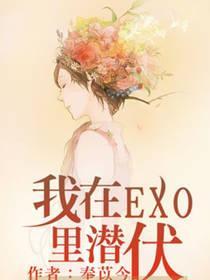 我在EXO裏潜伏封面