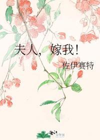 夫人，嫁我！封面