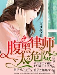 一路上有你，律师老公太危险封面