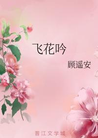 飞花吟封面