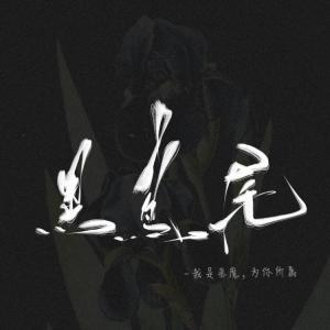 黑鸢尾封面