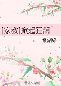 [家教]掀起狂澜封面