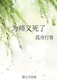 为师又死了封面