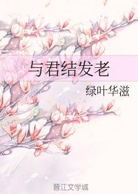 与君结发老封面