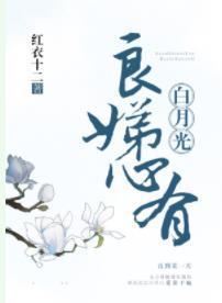 良娣心有白月光封面