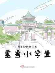 重当小学生封面