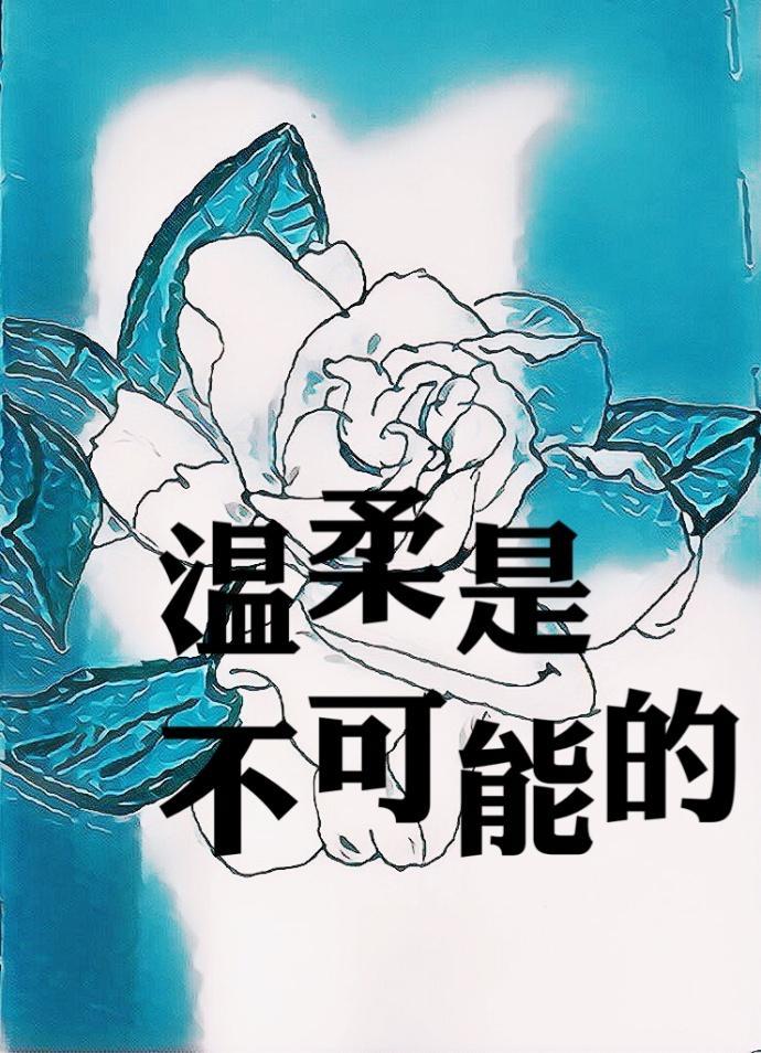 温柔是不可能的封面