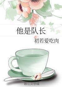 他是队长封面