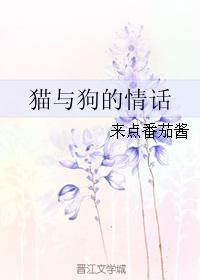 猫与狗的情话封面