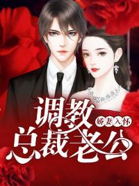 娇妻入怀：调教总裁老公封面