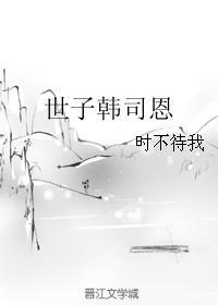 世子韩司恩封面
