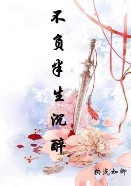 不负半生沈醉封面