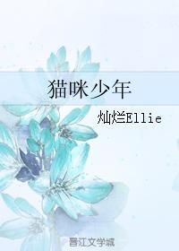 猫咪少年封面