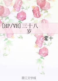 [HPVH]三十八岁封面