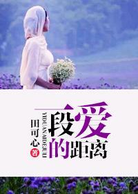 一段爱的距离封面