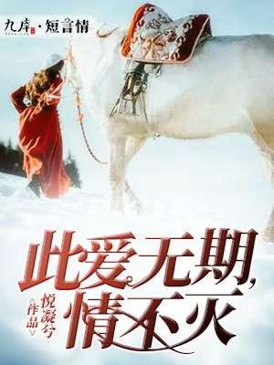 此爱无期，情不灭封面