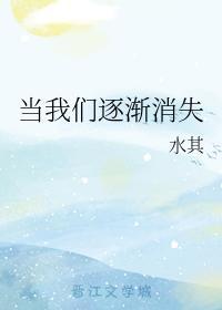 当我们逐渐消失封面