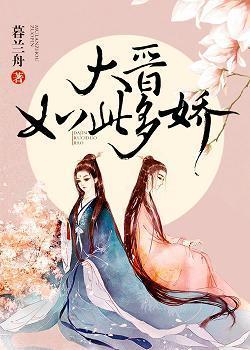 大晋如此多娇封面