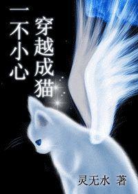 一不小心穿越成猫？封面