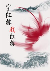 穿红楼戏红楼封面